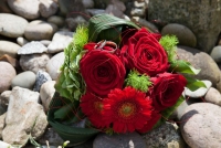 0172-20150522-hochzeit-standesamt-garten-099-